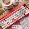 Apricot Blossoms Drizzle 104+16 PBT Keycaps Set Cherry / QX3 Profile for MX Switches Mechanical Gaming Keyboard